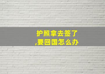 护照拿去签了,要回国怎么办