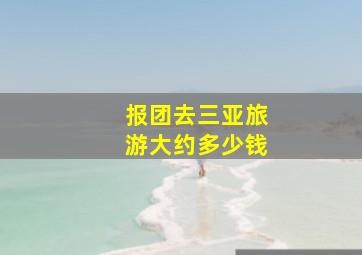 报团去三亚旅游大约多少钱