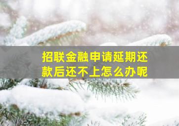 招联金融申请延期还款后还不上怎么办呢