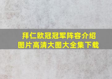 拜仁欧冠冠军阵容介绍图片高清大图大全集下载