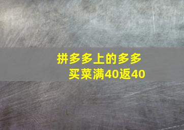 拼多多上的多多买菜满40返40