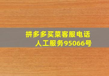 拼多多买菜客服电话人工服务95066号