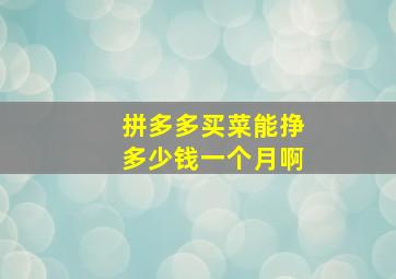 拼多多买菜能挣多少钱一个月啊