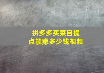 拼多多买菜自提点能赚多少钱视频