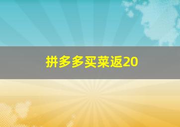 拼多多买菜返20