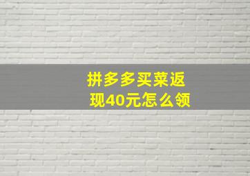 拼多多买菜返现40元怎么领