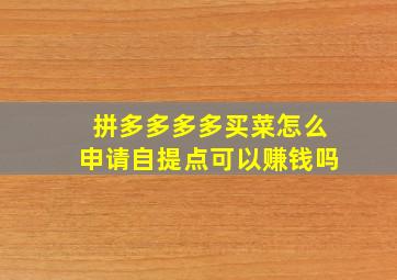 拼多多多多买菜怎么申请自提点可以赚钱吗