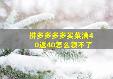 拼多多多多买菜满40返40怎么领不了