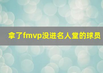 拿了fmvp没进名人堂的球员