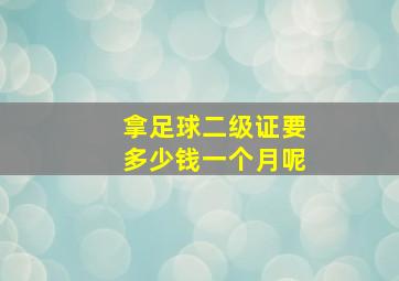 拿足球二级证要多少钱一个月呢