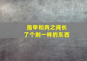 指甲和肉之间长了个刺一样的东西