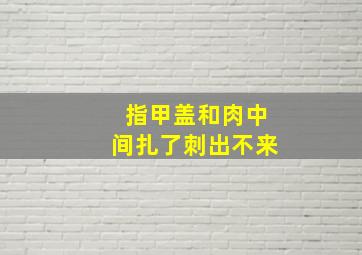 指甲盖和肉中间扎了刺出不来