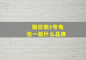 指纹锁5号电池一般什么品牌