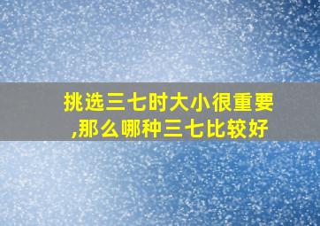 挑选三七时大小很重要,那么哪种三七比较好