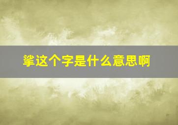 挲这个字是什么意思啊