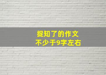 捉知了的作文不少于9字左右