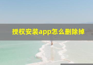 授权安装app怎么删除掉