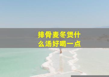 排骨麦冬煲什么汤好喝一点