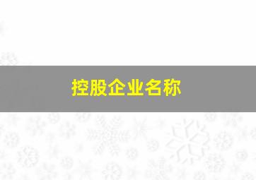 控股企业名称