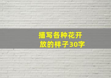 描写各种花开放的样子30字