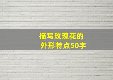 描写玫瑰花的外形特点50字