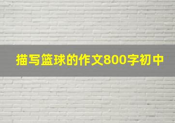 描写篮球的作文800字初中