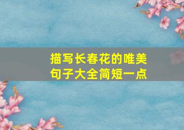 描写长春花的唯美句子大全简短一点