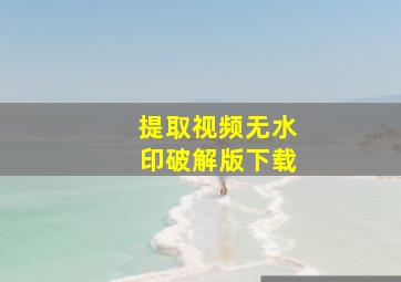 提取视频无水印破解版下载