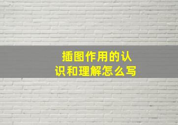 插图作用的认识和理解怎么写