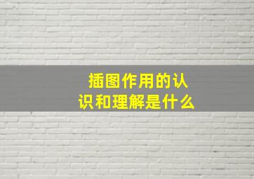 插图作用的认识和理解是什么