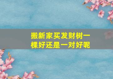 搬新家买发财树一棵好还是一对好呢