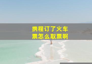 携程订了火车票怎么取票啊