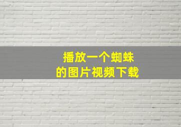 播放一个蜘蛛的图片视频下载