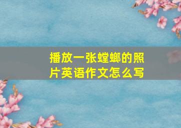 播放一张螳螂的照片英语作文怎么写