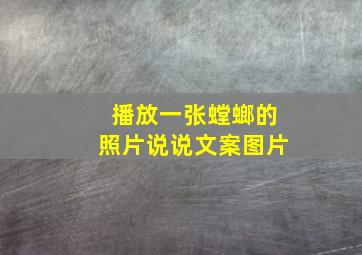 播放一张螳螂的照片说说文案图片