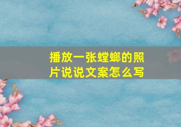 播放一张螳螂的照片说说文案怎么写