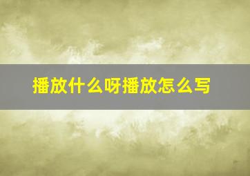 播放什么呀播放怎么写