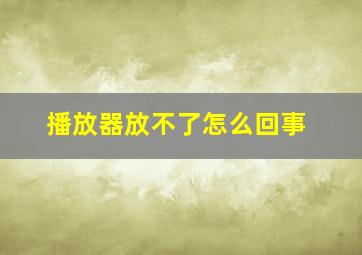 播放器放不了怎么回事