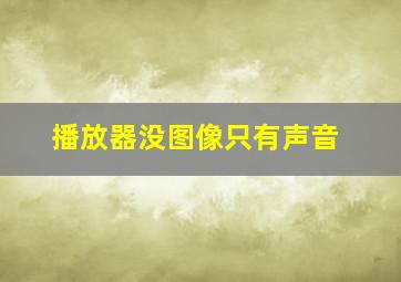 播放器没图像只有声音