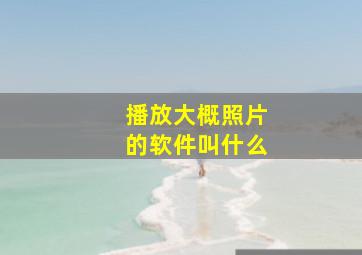 播放大概照片的软件叫什么