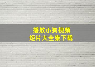 播放小狗视频短片大全集下载