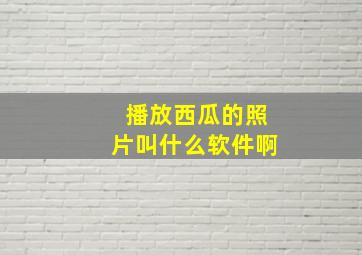 播放西瓜的照片叫什么软件啊