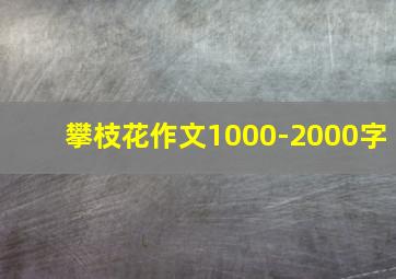 攀枝花作文1000-2000字