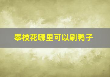 攀枝花哪里可以刷鸭子