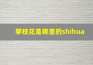 攀枝花是哪里的shihua