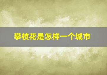 攀枝花是怎样一个城市