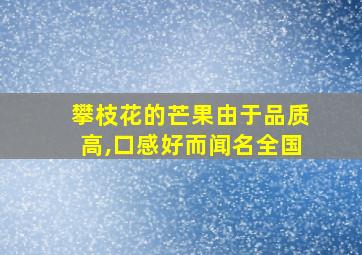 攀枝花的芒果由于品质高,口感好而闻名全国