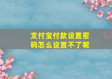 支付宝付款设置密码怎么设置不了呢