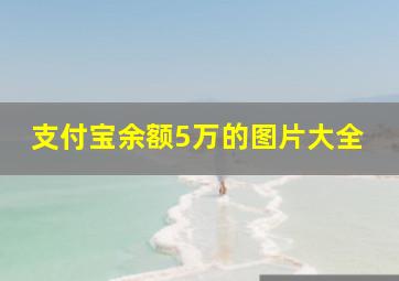 支付宝余额5万的图片大全