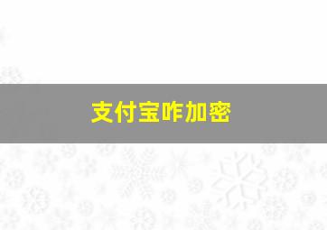 支付宝咋加密